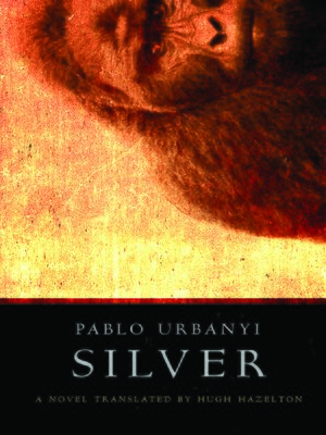 cover image of Silver